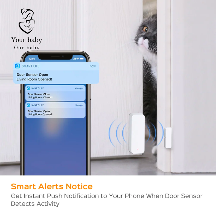 Door sensor - מערכת אבטחה לדלת